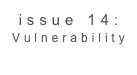 issue 14: Vulnerability